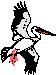 Stork