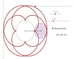 Astroides, cardoides y dem&aacute;s