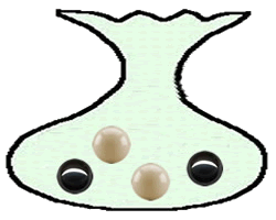 Ilusiones &oacute;pticas