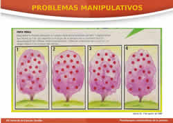 Pasatiempos de observaci&oacute;n